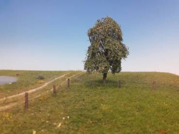 Weeping willow, Profiline